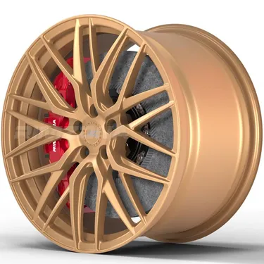 Кованый диск RZ Forged RZ21